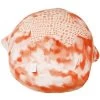 Squishmallows 16 Inch Plush | Livvy The Tie-Dye Starfish -Squishmallows Toys GUEST 77a6dd46 17ac 4e1e 8064 6a5780be02b9